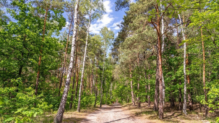 Mieszkanie Sprzedaż Warszawa Bielany 3